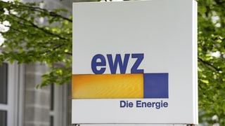 Ovra electrica da Turitg EWZ vul investir en la forza idraulica en il Surses.