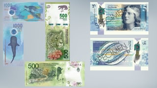 Purtret da las bancnotas concurrentas. 