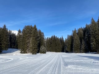 Passlung a Lai.