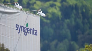 Il logo da Syngenta.