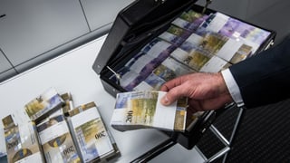 Purtret d'ina valischa cun en bancnotas francs.