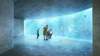 Visualisaziun da l'ozeanium.