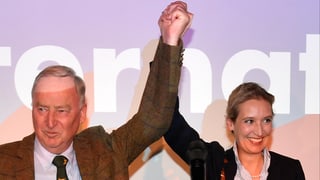 Alexander Gauland e Alice Weidel.
