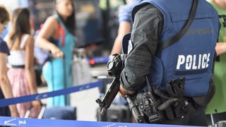 Purtret d'in policist ferm armà che stat davant ina porta per proteger. 