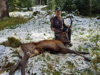 Anton Derungs cun ses taur da diesch sajettà en Lumnezia.
