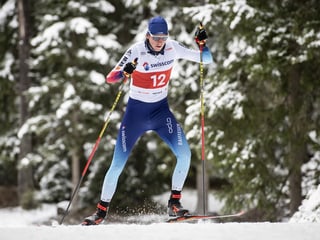 Cédric Steiner Cédric Steiner