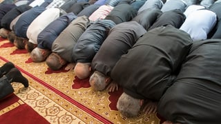 Temp d'urar en la chasa da las religiuns a Berna - numerus umens pusan lur chau sin il tarpet.