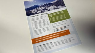 Cun quest fegl sgulant vegn fatg propaganda per in gea a l'urna.
