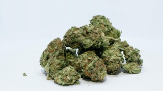Cannabis.