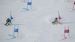 cursa parallela. cursa parallela.