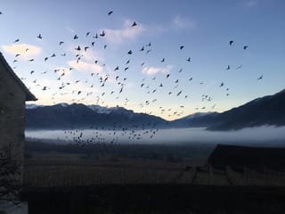 La damaun baud a Corviglias - Jenaz.