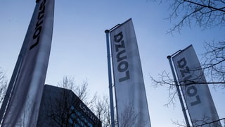 La sedia da Lonza a Basilea.
