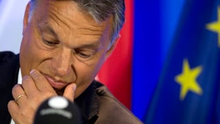 Il primminister ucranais, Victor Orban. Il primminister ucranais, Victor Orban.