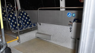 Purtret dal bus. 