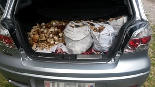 L’auto dals dus umens era bain plain bulieus.