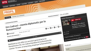 pagina d'internet cun profil