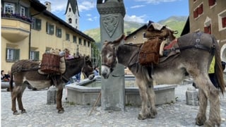 Impressiuns Via Valtellina a Zuoz. 