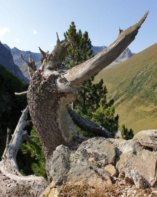 Atmosfera da chatscha.