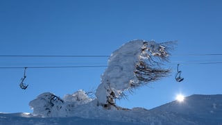 Pendicularas Brambrüesch.