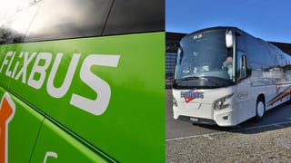 in flixbus ed in Eurobus in sper l'auter