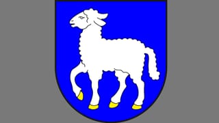 La vopna da Cunters en il Partenz.