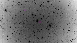 Purtret dals asteroids. Purtret dals asteroids.