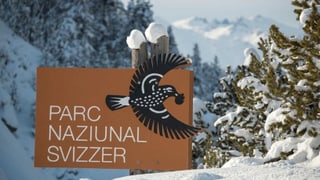 La tabla dal Parc Naziunal Svizzer