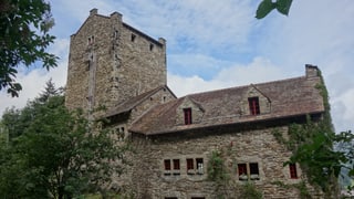 Il chastè Ehrenfels a Seglias en Tumleastga.