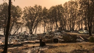 Incendi da guaud.