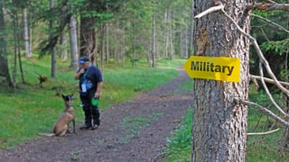 In possessur cul chaun, sin il traject dal Military Engiadinais a Sur En