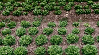 Il cussegl naziunal refusa l’iniziativa per suveranitad alimentara. 