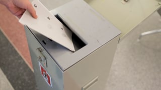 Nagina votaziun dal pievel ils 26 da november. 