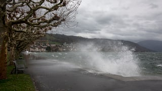 ferms suffels al lai da Zug