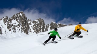 Ina skiunza ed in skiunz en il territori da skis Mustér.
