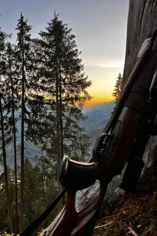 Gewehr Abendstimmung.