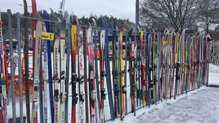 Purtret da skis.