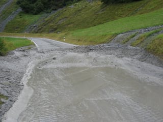 La bova davant Brunzauls.