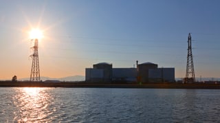 Ovra atomara Fessenheim.