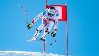 Skiunza svizra.