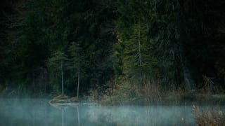 Nebla sur l'aua