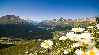 L'Engiadin'Ota, survista sin la cuntrada ed ils lais