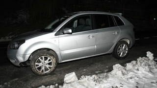 Purtret da l'auto. 