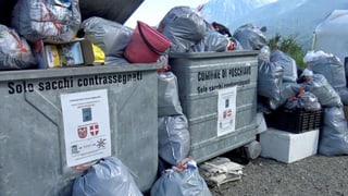 Containers cun satgs da rument.