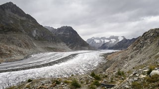 Glatscher d'Aletsch