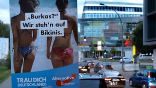 Placat da la dretga en Germania, da la AfD (Alternative für Deutschland),