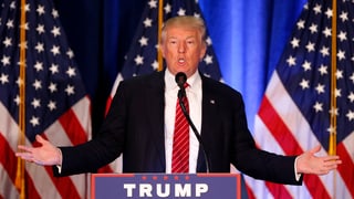 Purtret da Donald Trump.