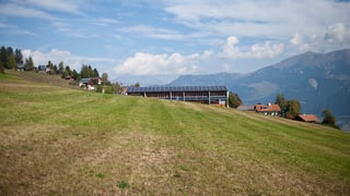 In prà d'agricultura e davosvart chasas. 