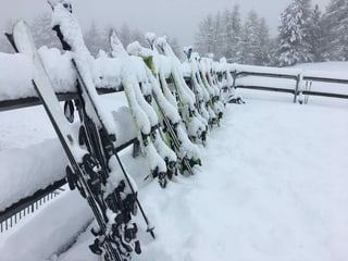 Skis cun si naiv, pusads vi d'ina saiv.