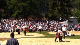 Impressiun dals plazs da lutga