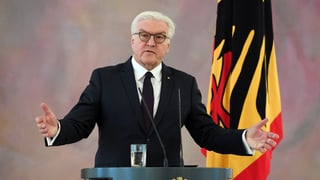 Il president tudestg Frank-Walter Steinmeier